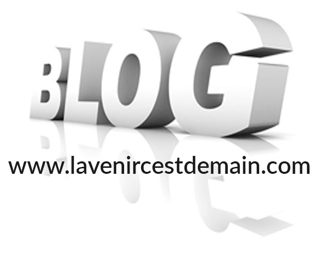 je le rencontre demain